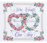 Janlynn The Yard Kit de Broderie au Point de Croix compté Motif Deux cœurs et Un Amour Multicolore