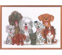 JanlynnKit de Broderie au Point de Croix., Blanc, 15" x 10"