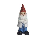 Jannity Statuette de nain de jardin, diverses décorations de carrière, pour patio, cour, pelouse, balcon, intérieur, décoration de table (médecin)