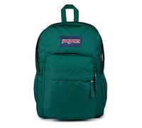JanSport Big Day Pack Grand Sac à Dos, Compartiment pour Ordinateur Portable 15in, 43.5 x 19 x 32.5 cm, Deep Juniper (Multicolore)