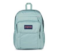 JanSport Union Pack Grand Sac à Dos, Compartiment pour Ordinateur Portable 15in, 42 x 14 x 32 cm, Faded Sage (Green)