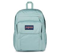 JanSport Union Pack Grand Sac à Dos, Compartiment pour Ordinateur Portable 15in, 42 x 14 x 32 cm, Faded Sage (Green)
