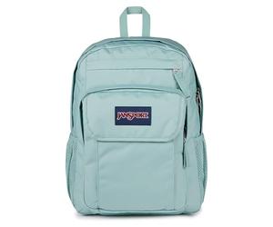 JanSport Union Pack Grand Sac à Dos, Compartiment pour Ordinateur Portable 15in, 42 x 14 x 32 cm, Faded Sage (Green)