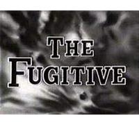 Janssen,David - The Fugitive, Volume 8 : Home Is The Hunted/The Survivors [VHS]