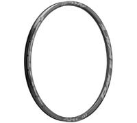 Jante ARC 31 carbone - 29 - 28t