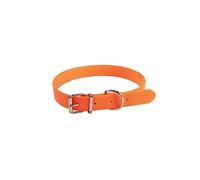 JANUEL - Collier Chien Sangle PVC - Longueur 45cm x Largeur 25mm - Orange