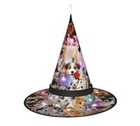 JaoXer Chapeau de sorcière mignon pour chien - Chapeau de fête pliable et décoratif avec lumières LED pour fête, bal masqué, carnaval et Noël