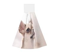 JaoXer Lingettes à suspendre en velours corail, motif chihuahua, chiffon de nettoyage à séchage rapide pour cuisine, salle de bain, camping et plus encore