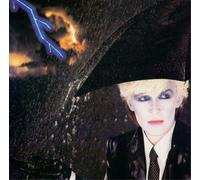 Japan Gentlemen Take Polaroids (Vinyl) 12" Album