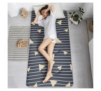 Japanese Futon Mattress Thicken, Twin/Full/Queen/King Floor Mattress Non-Slip Quilting Tatami Mat, Foldable Soft Breathable(05,Twin(100 * 200cm))