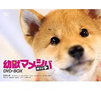 Japanese Tv Series - Drama Youjuu Mameshiba Boukyou Hen Dvd-Box Dvd Box (4dvds) [Japan Dvd] Zmsh-9714