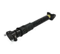 JAPANPARTS Amortisseur Arrière Pour Mercedes-Benz M-Klasse W164 GL-Klasse X164