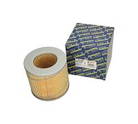 ASHIKA 20-02-229 Filtre à air