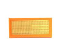 ASHIKA 20-M0-001 Filtre à air