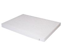 Japanparts FAA-NS10 Filtre, air de l'habitacle, White