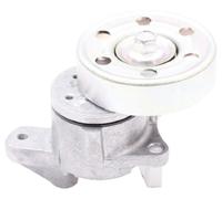 Japanparts TS-202 Tendeur, courroie trapézoïdale à nervures