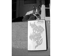 Japanther - Don't Trust Anyone Over Thirty