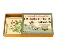 J'apprends à reconnaître les baies et fruits sauvages - marc vidal