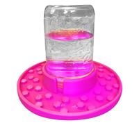 Jar Bee Feeder Distributeur d'eau Polyvalent pour l'apiculture | Pot Station d'arrosage | Pot à Sucre d'abeille | Tasses de Jardin | Mise en Conserve des Abeilles | Tasse à Eau pour Sucre de