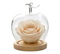 Jar Glass Cloche - Verre Dome | Fruit Shape Desktop Decoration | Preserved Flower Glasas Cloche | For Collectors Home Office Retail Store Wedding Jewelry Collectibles Figures Dolls Dining Table