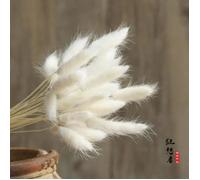 Jarcias, Pour Flute Et Guitare / Conducteur