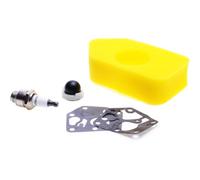 Jardiaffaires Bougie + Filtre à air + kit membranes + Pompe amorçage Compatible avec Briggs Stratton