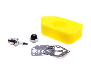 Jardiaffaires Bougie + Filtre à air + kit membranes + Pompe amorçage Compatible avec Briggs Stratton
