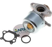 Jardiaffaires Carburateur Compatible avec Briggs Stratton remplace 790978