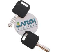 Jardiaffaires Lot de 2 clés de Contact Universelle Adaptable pour autoportée AYP