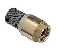 jardiboutique - Clapet avec crépine York 3/4, en Laiton, pour pompage arrosage
