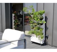 Jardin potager vertical - 20 compartiments - Système d'arrosage automatique - Pompe programmable - Goutteur intégré