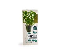 Jardin autonome, basilic, grand pot ,21x9x9 cm