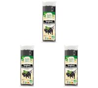 Jardin BiO étic - Spaghetti à l'encre de seiche - bio - Salé - Certifié AB - Sachet de 500g (Lot de 3)