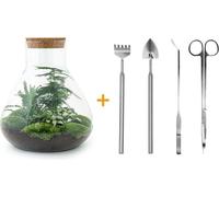 Jardin de bouteilles Sam XL - terrarium de plantes Do-It-Yourself avec outils - 35 cm hoc