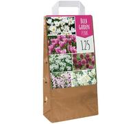 Jardin de bulbes Tulipe rose Allium Crocus Chionodoxa Allium Narcisse Bulbes à fleurs (125 bulbes)