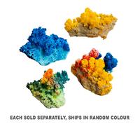 Jardin de cristaux magiques