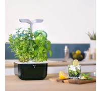 Véritable Jardin d'intérieur Exky Smart (Soft Black) - Jardin Intelligent Compact et Autonome avec Technologie Adapt'light - avec 2 Lingots