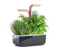 Jardin d'intérieur Veritable Smart Copper