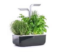 Potager D'intérieur Intelligent Smart Soft Black