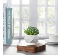 Jardin en lévitation hexafly bois foncé