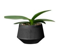 Jardin en pot d'orchidées - Jardinière de 6 pouces | Pot de fleur en PP respirant - Conception double couche pour le contrôle des racines et la gestion de l'humidité, idéal pour la culture hydroponiqu