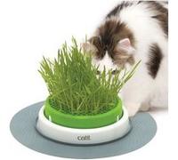 Jardin Herbe Pour Chat Catit Senses 2.0 G