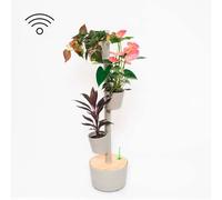 Jardin intelligent smart, 3 pots gris