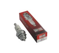 Greenstar 15720 Bougie champion rcj7y (f841), Noir