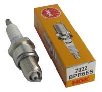 JARDIN PRATIC Bougie d'allumage pour tondeuse NGK BPR6ES