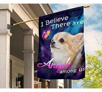 Jardin Signe Supérieure Drapeau De Jardin Durable Drapeaux De Pirate Décoration Pour Extérieure Balcon Maison Un Adorable Chihuahua Et Des Papillons. Je Crois Qu'Il Existe Des Anges. S