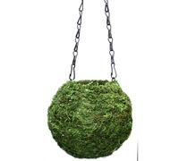 Jardini re Kokedama SuperMoss (29348) 6"""" Vert frais