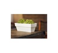 Jardiniere 12x30 cm collection limited - blanc