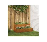 vidaXL jardinière 2 Niveaux 100x60x45 cm en Acier résistant aux intempéries