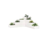 Vidaxl Jardinière 4 Niveaux 80,5x79x36 Cm Blanc Bois De Pin Massif